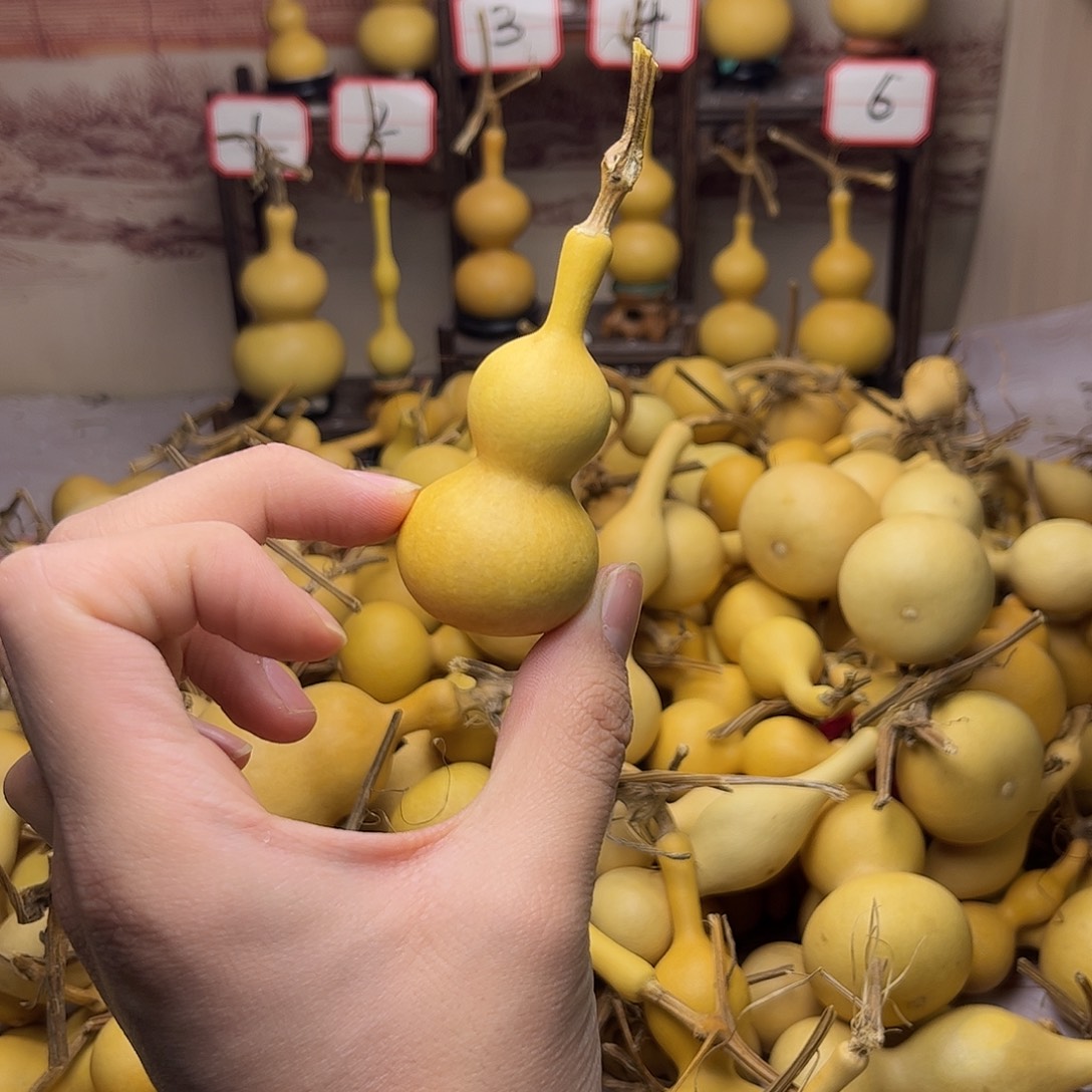 葫芦葫芦葫芦葫芦