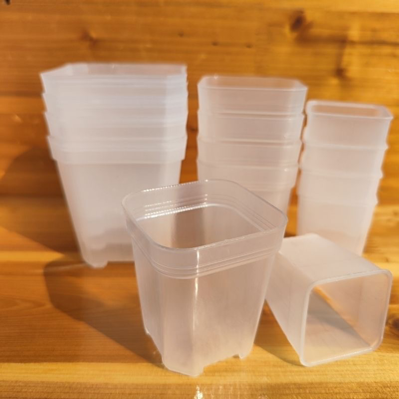 加厚透气磨砂透明塑料多肉花盆小白方盆100个绿植盆栽适用