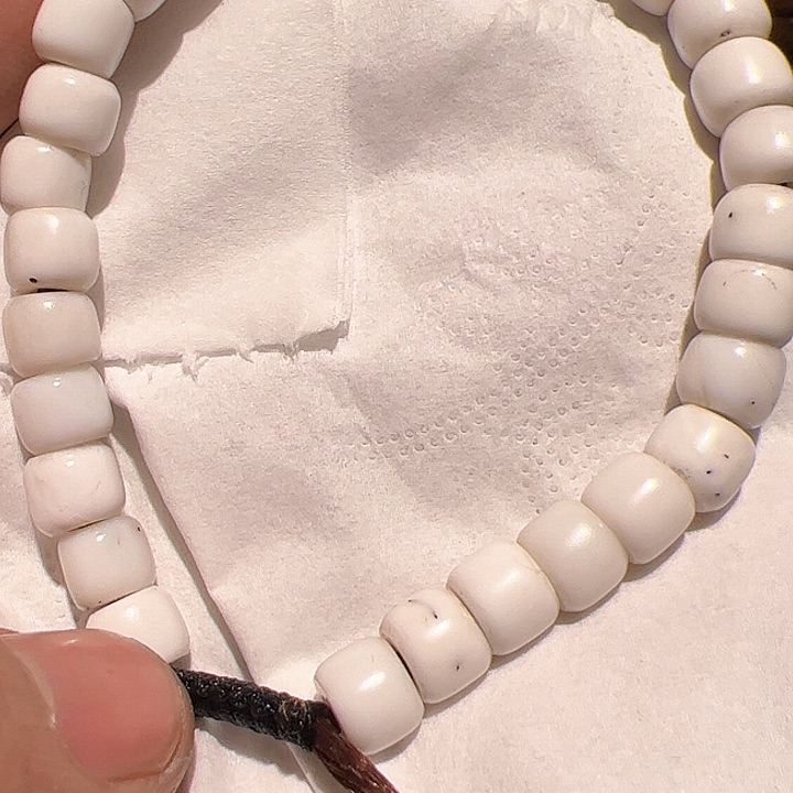 香榧木在这里的时候