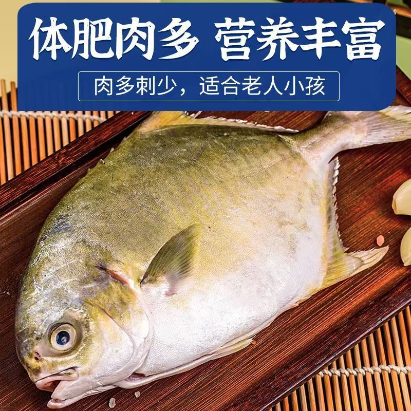 新鲜海捕无碎刺  金鲳鱼5条（每条净重8两）