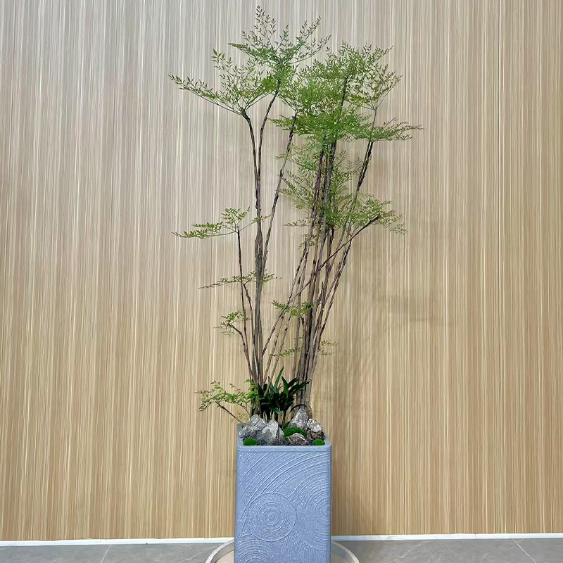 火焰南天竹【一物一拍】盆栽老桩盆景室内室外花卉绿植物