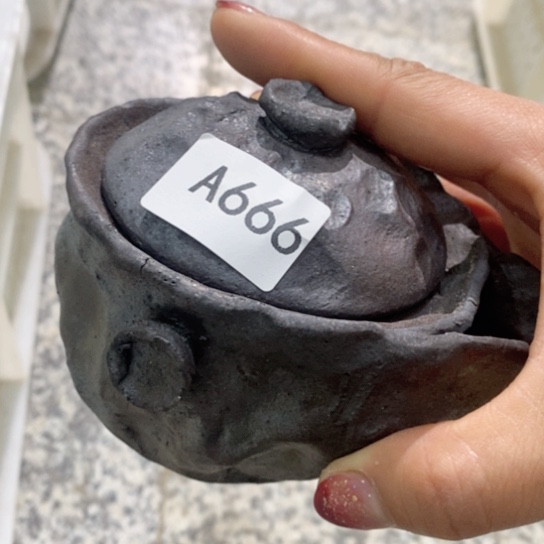 福利福利活动来啦