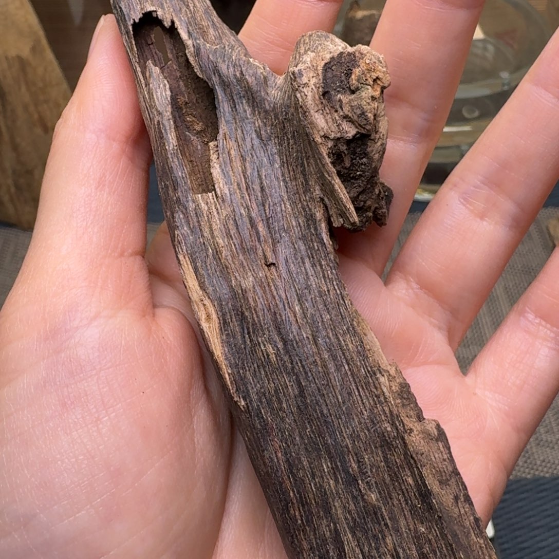 木海南尖峰岭黑油虫漏14克