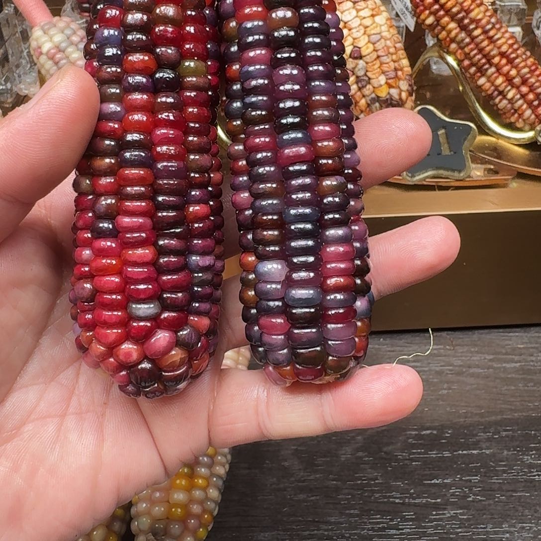 素***生柏香籽/百香籽吊坠