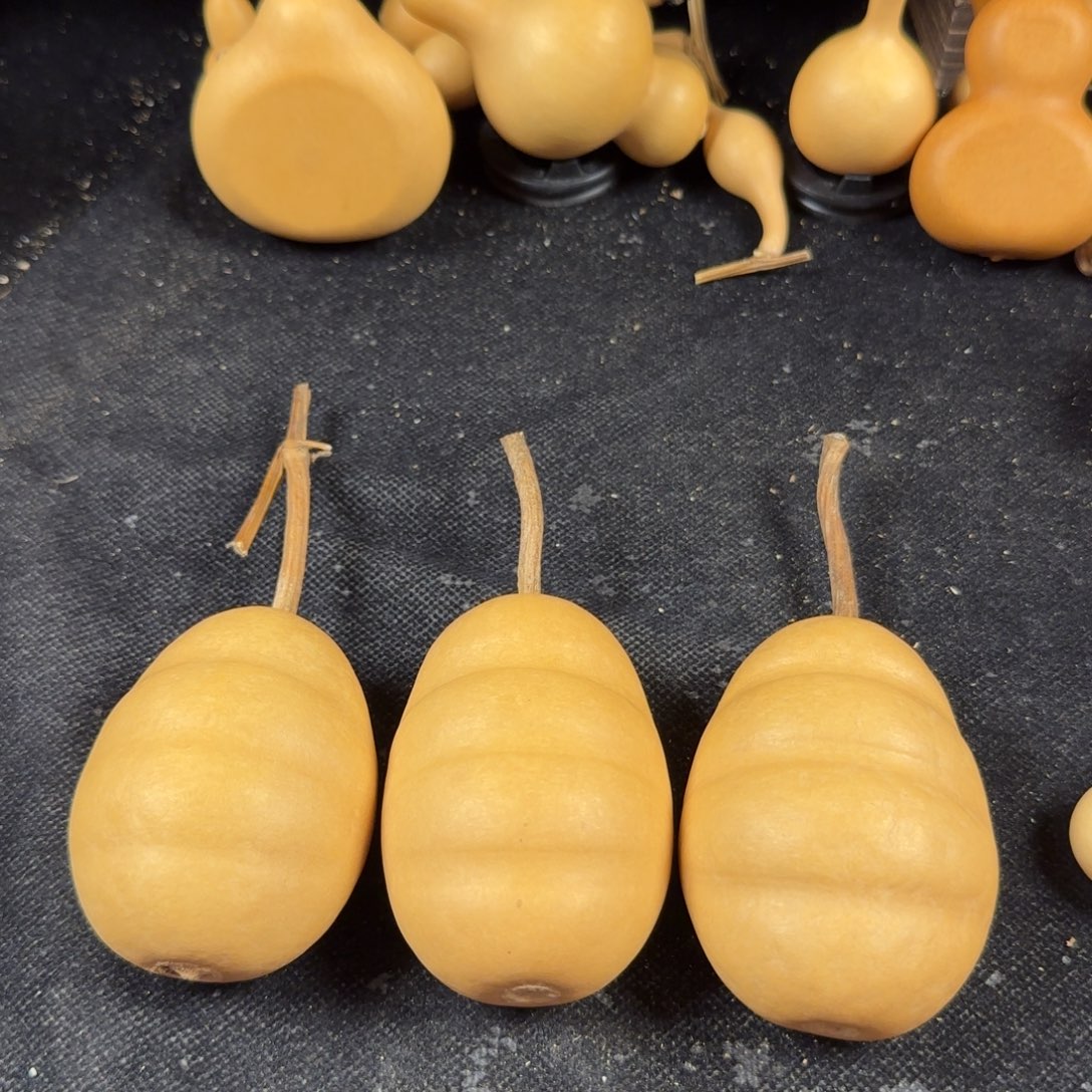 鑫***悦葫芦葫芦葫芦葫芦葫芦葫芦葫芦