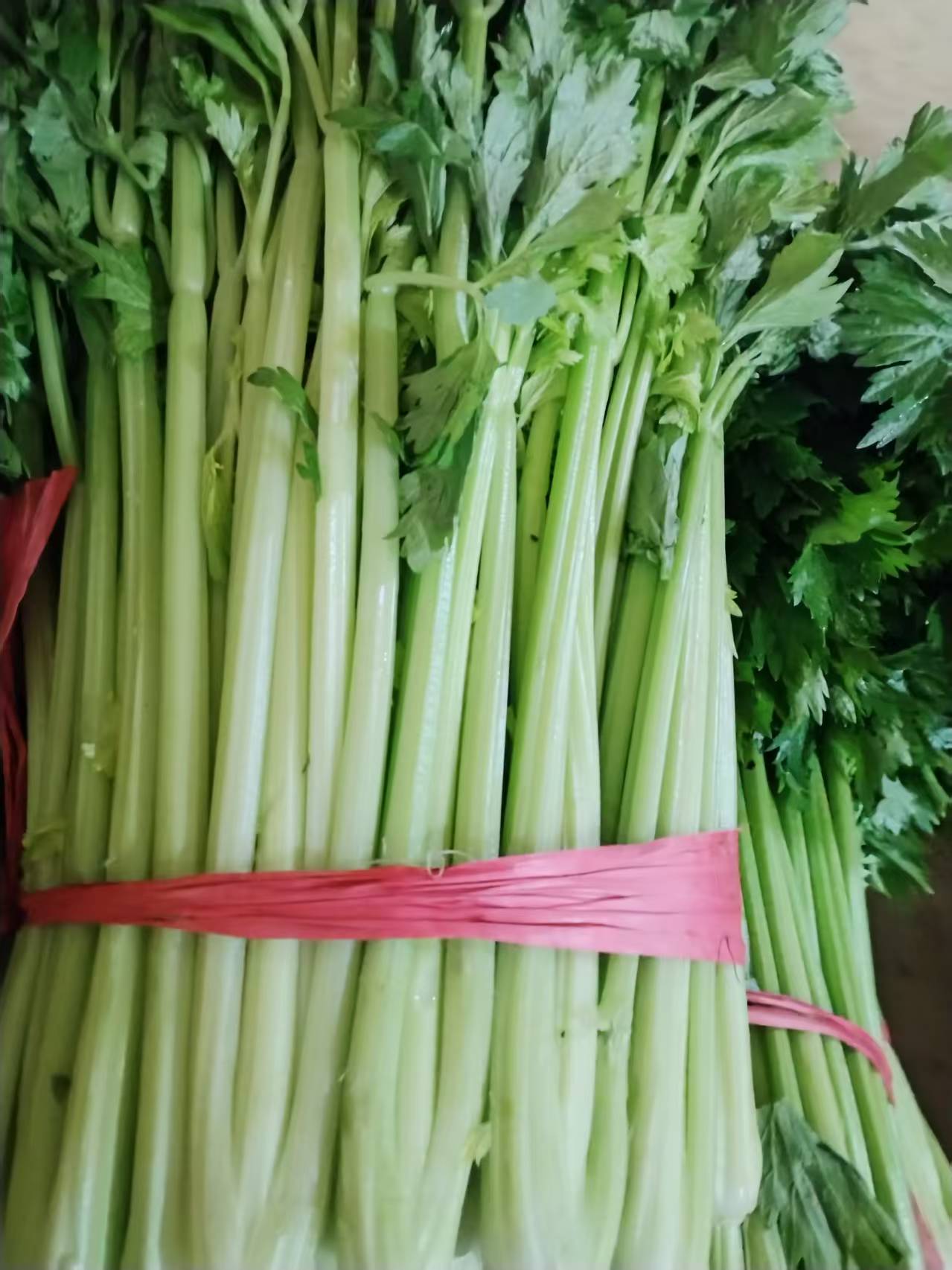 新鲜现割金口地理标志芹菜