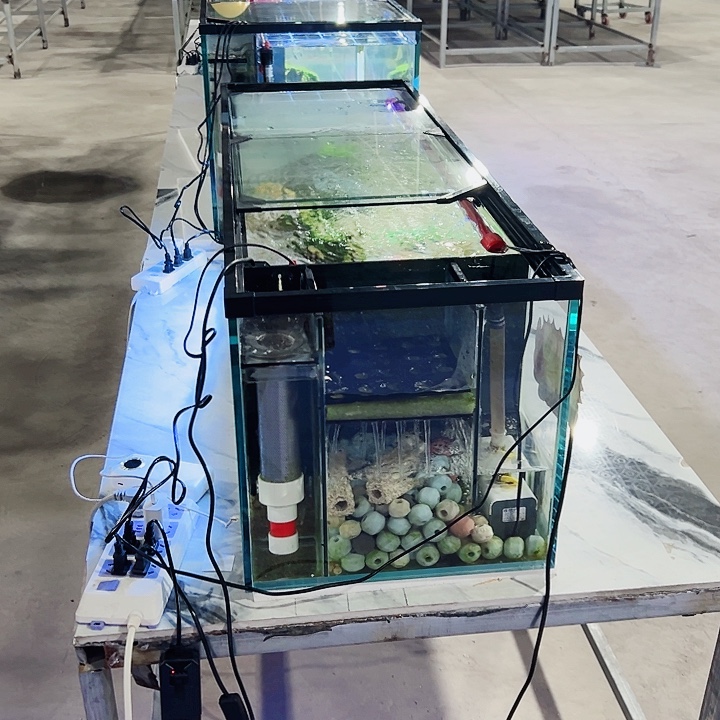 啥***会玻璃80、45侧滤鱼马桶玻璃推拉盖全套