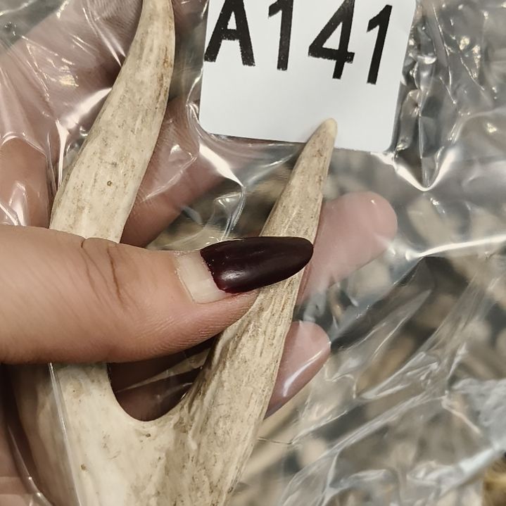 奥***开鹿角鹿角鹿角鹿角鹿角鹿角