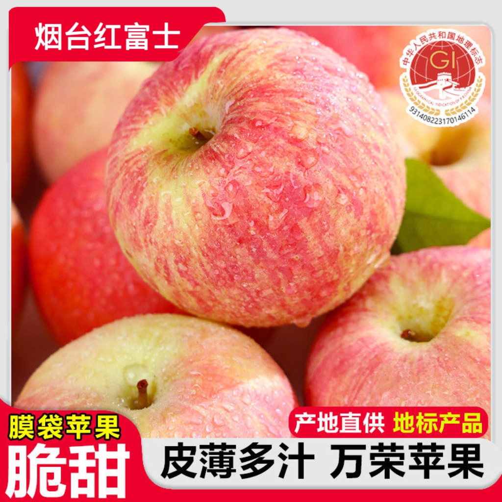 山东烟台红富士苹果批发2025年当季新鲜脆甜多汁爽口新鲜应季水果