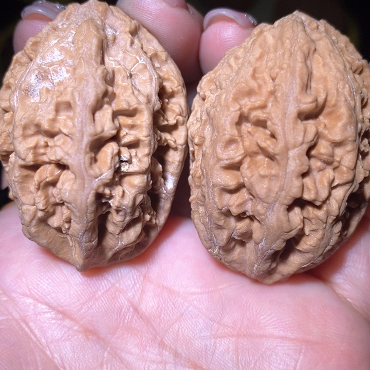 文玩核桃把件东北野生楸子小美1 06