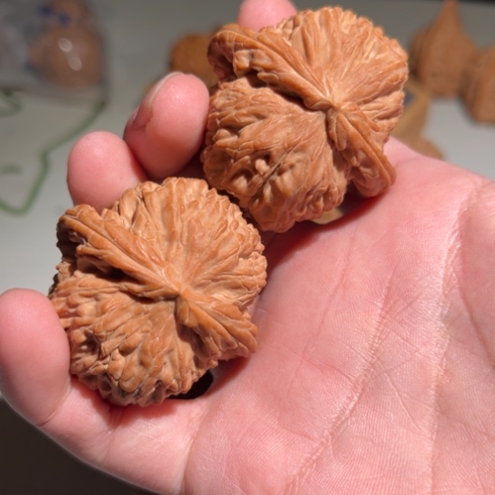 吊坠文玩核桃白狮子 全品