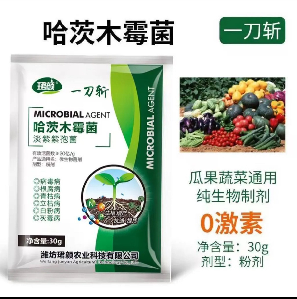 哈茨木霉菌淡紫紫孢菌以菌治菌防治病毒病立枯病白粉病