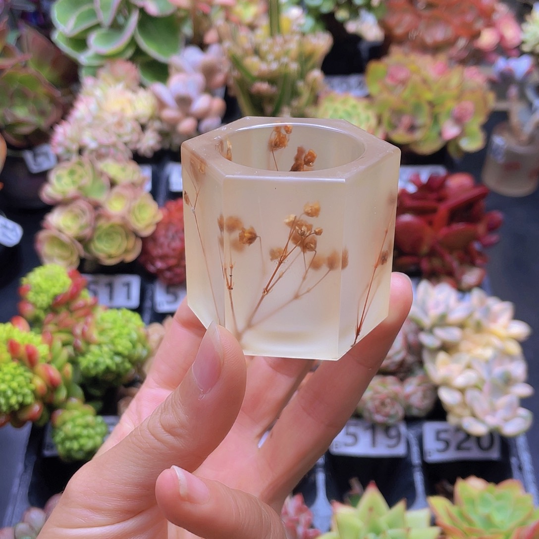 花钱花钱花钱花钱