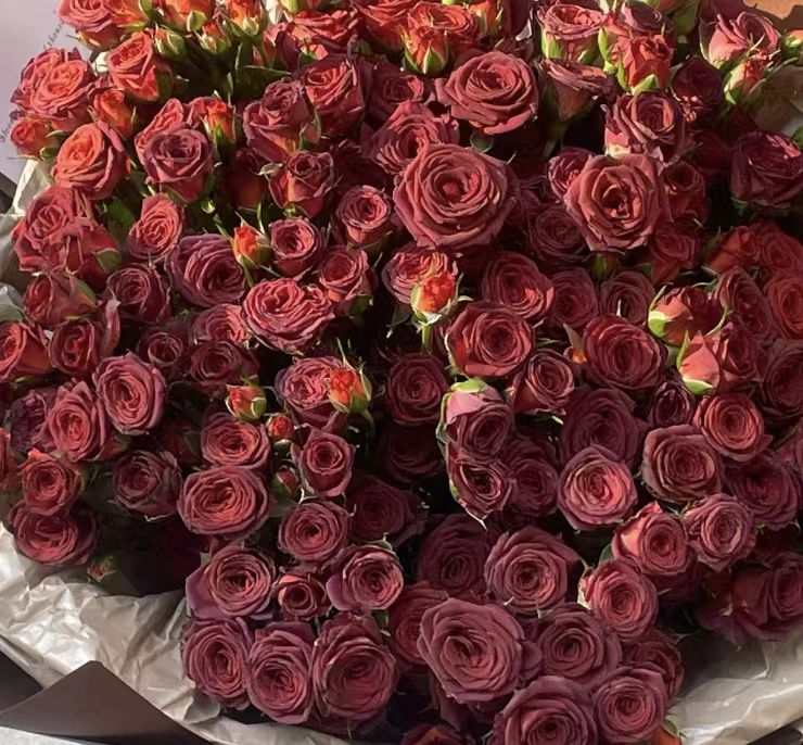 YZ【AA级巧克力多头玫瑰】全场任意满两单鲜花升级快递