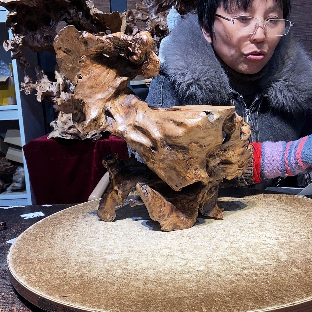 月***楼394。株木随行根艺