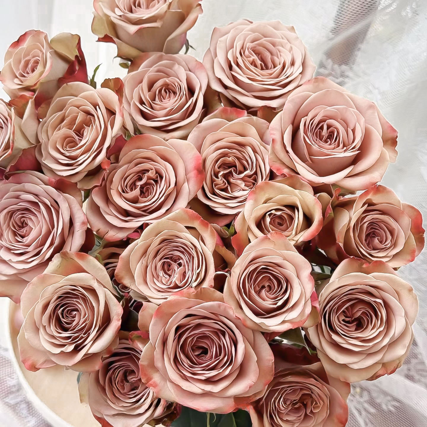 【诺斯沃德】卡布奇诺20支玫瑰【任意凑2单冷链包邮】鲜花