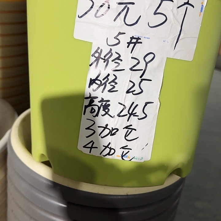 四季5号果绿无托10个特价