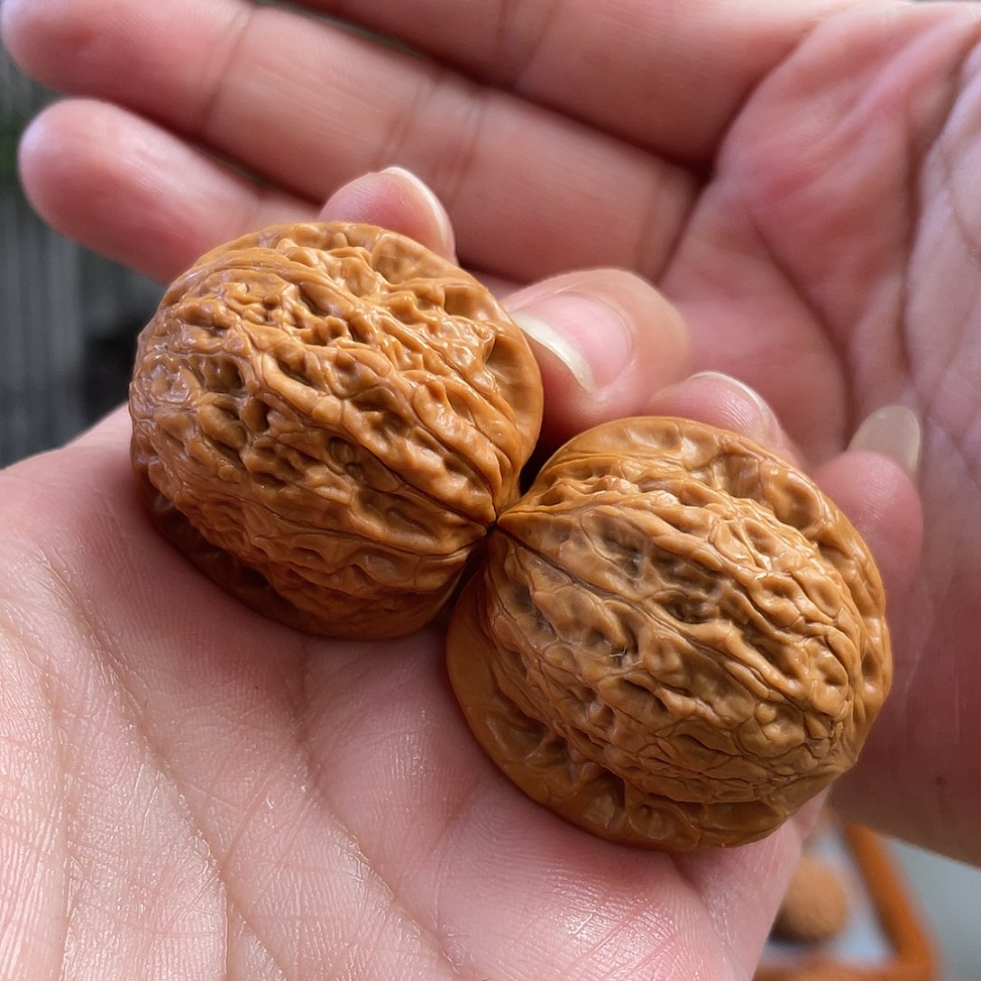 桃核把件34×33尺全品原桩铁锤CN01004已打底