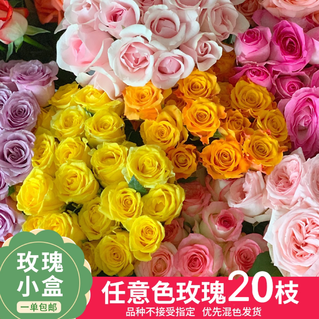 【云舍花卉】【不指定快递】一单包邮【玫瑰小盒20支】