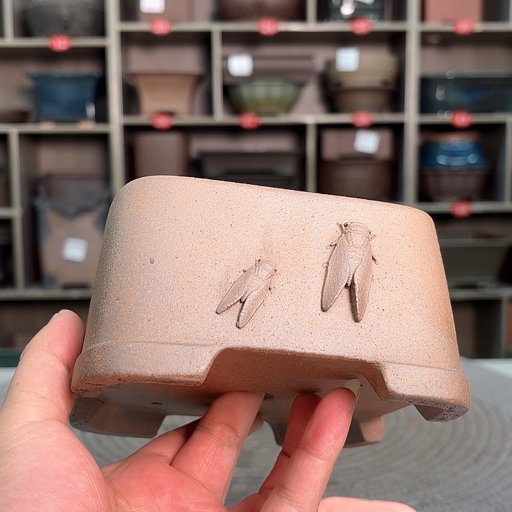 紫砂花盆紫砂的颜色很漂亮