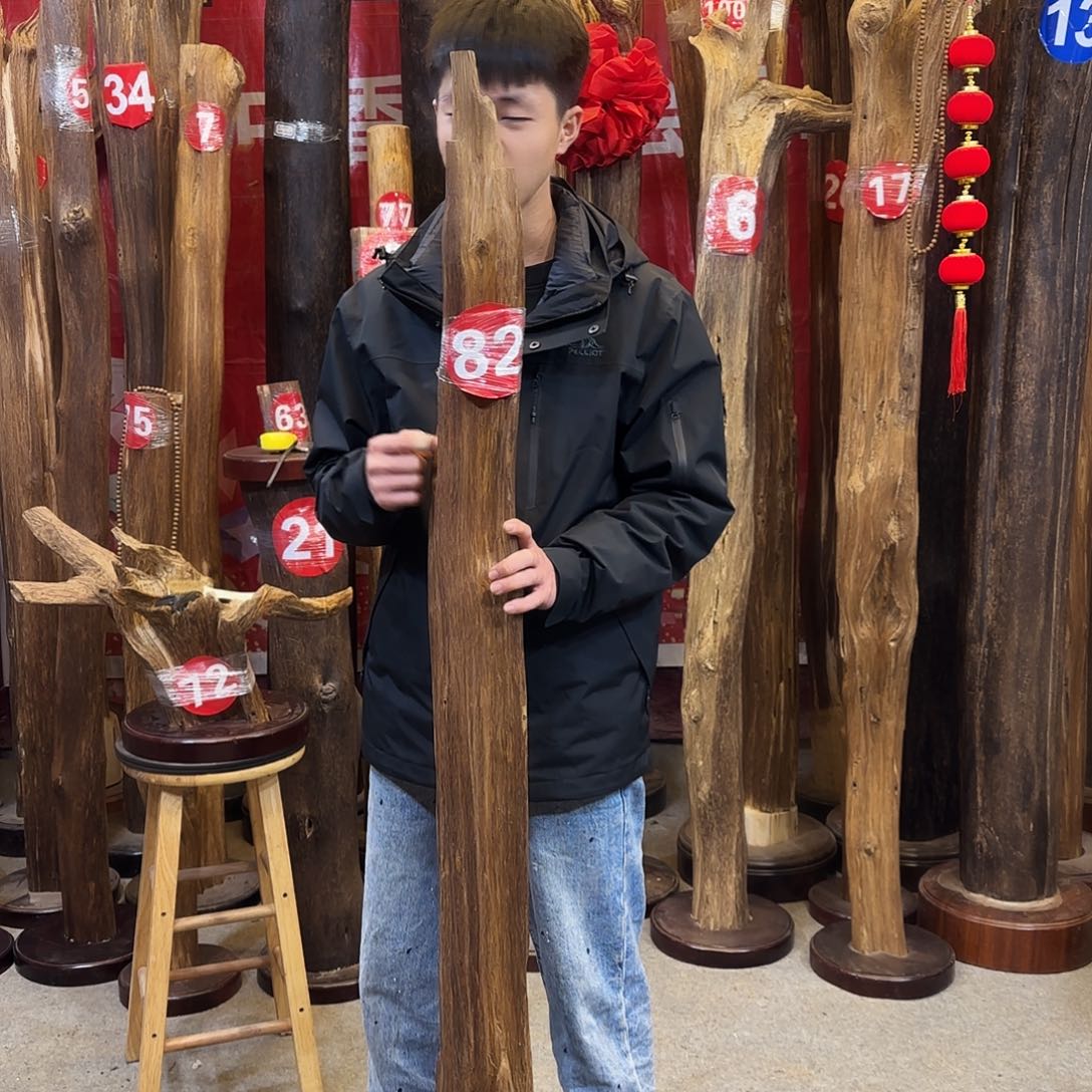 沉香摆件迅****盾海南沉香