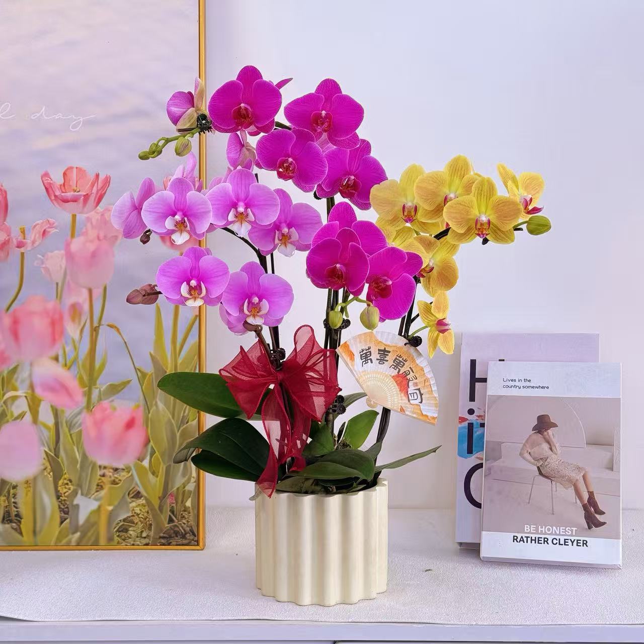 妗画【全家福】蝴蝶兰鲜花精致组盆 开花株 室内绿植基地直发