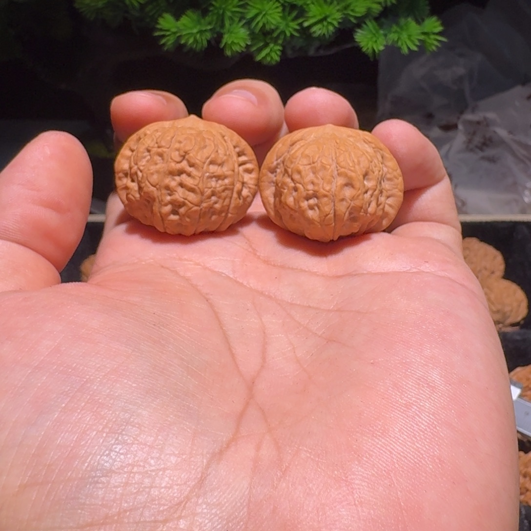 文玩核桃吊坠小战甲