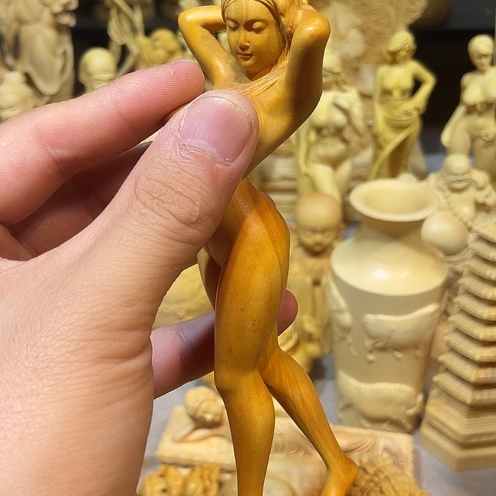 黄杨木小叶黄杨美女