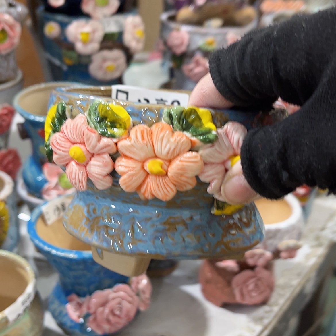 【闪购商品】红陶福利