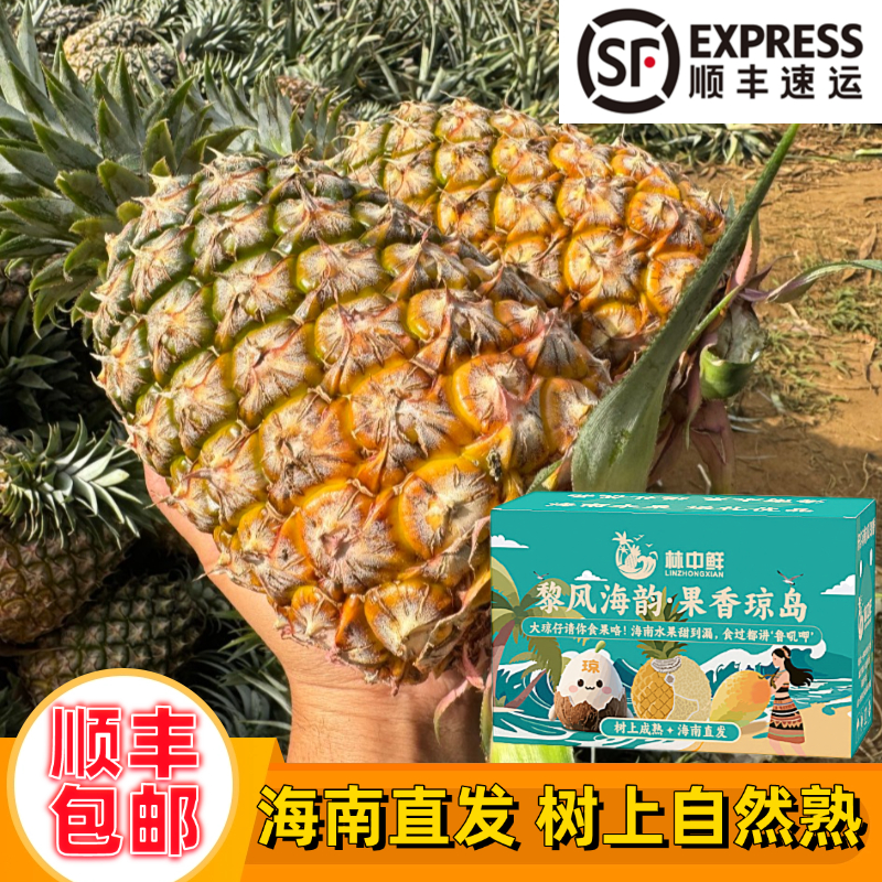 【顺丰彩箱】海南金钻凤梨17号手撕甜蜜蜜冬蜜爆甜热带新鲜水果整箱