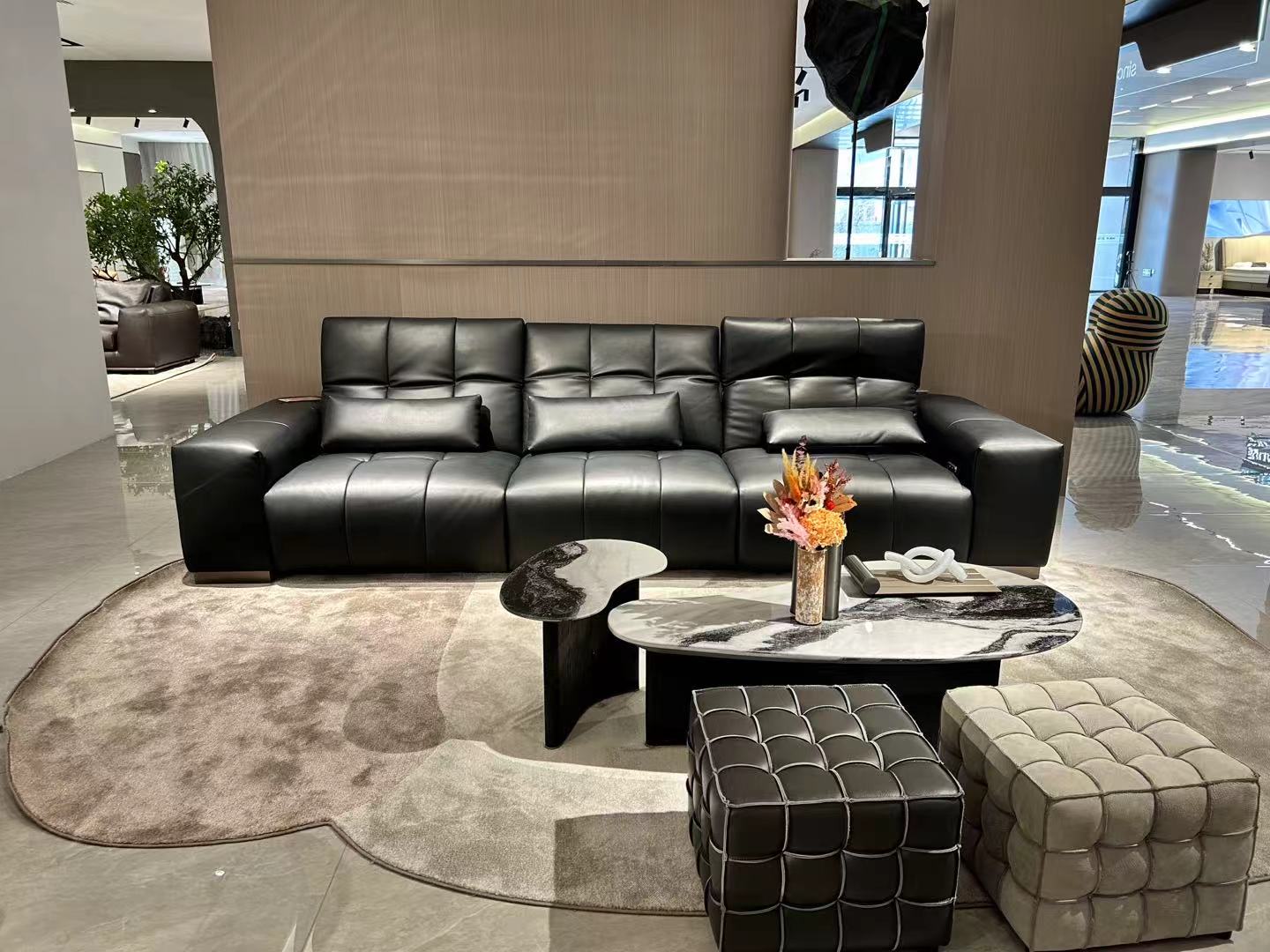 舒丽雅像素功能真皮沙发