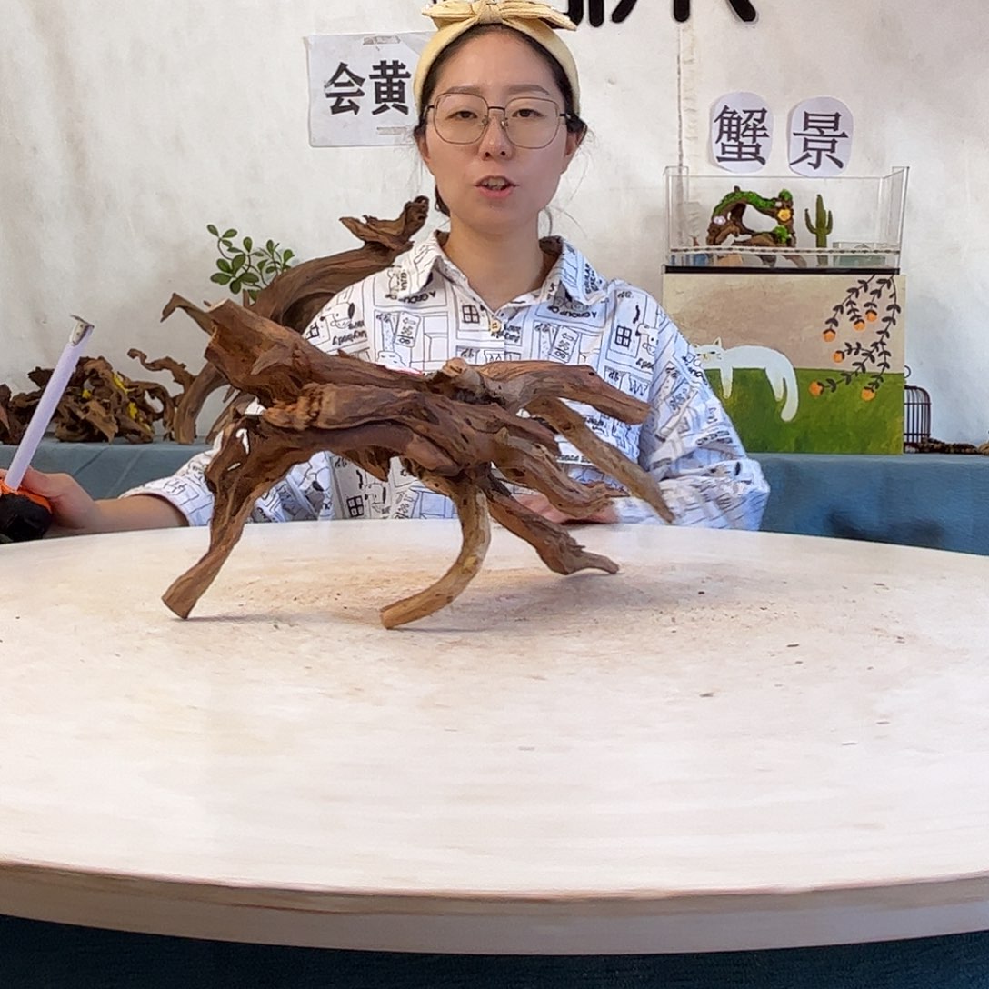 沉木造景寄居蟹景