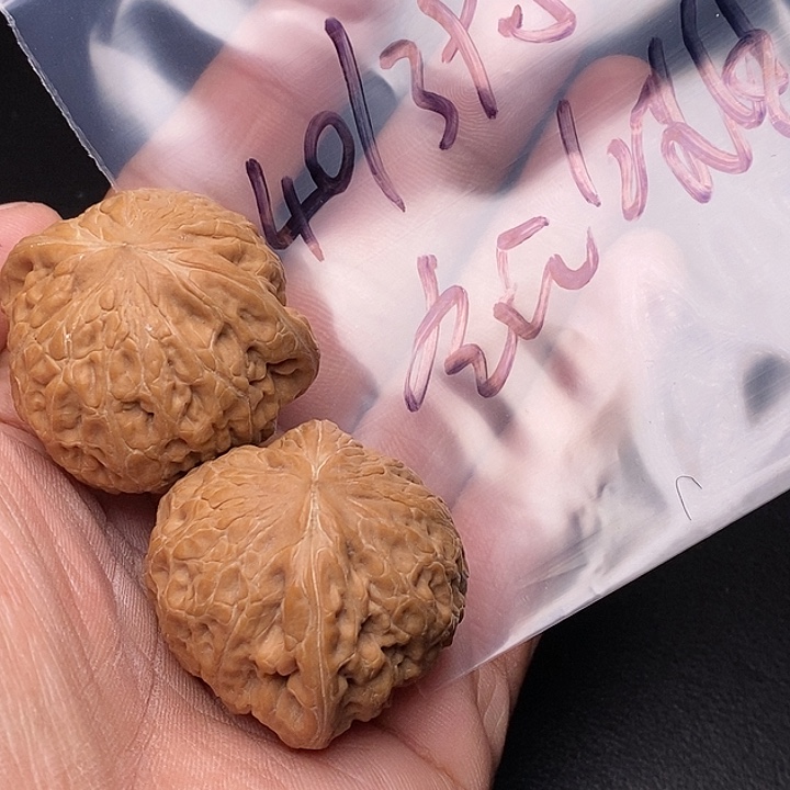 【闪购商品】文玩核桃把件铁锤