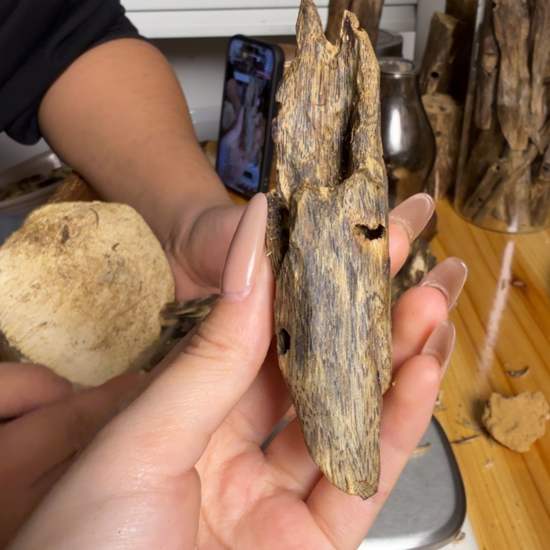 沉香白奇虫漏15克