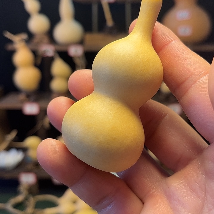 功****6啦啦啦啦啦啦啦啦啦啦