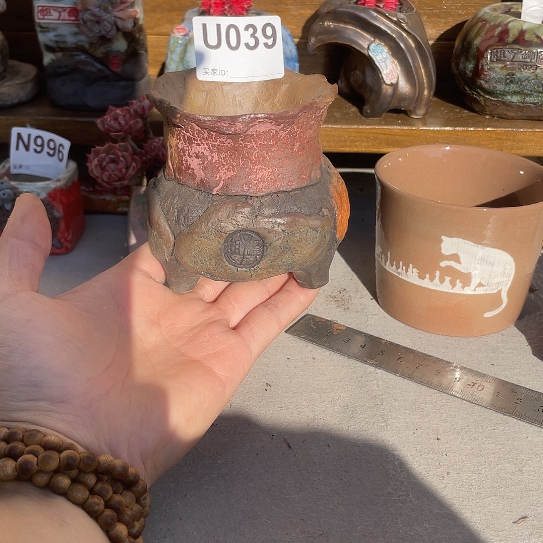 坛子姐多肉花盆外口7.5