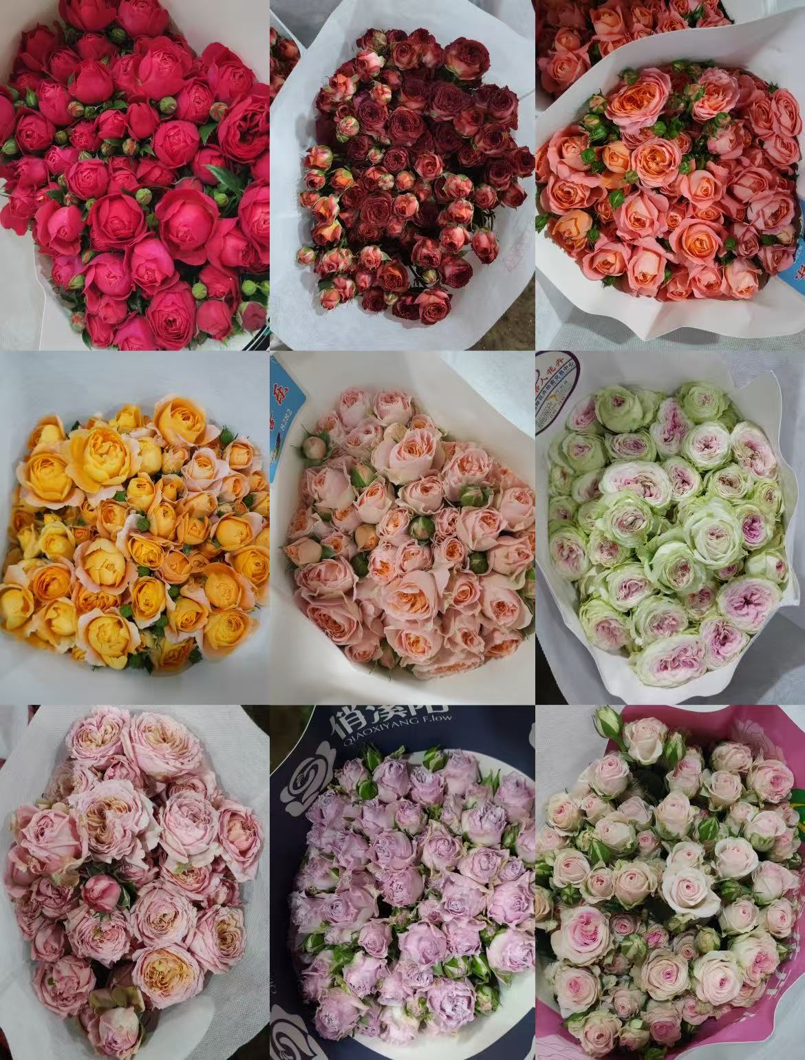A2【多头玫瑰花链接】云南基地直发--全场任意两单升级冷链快递