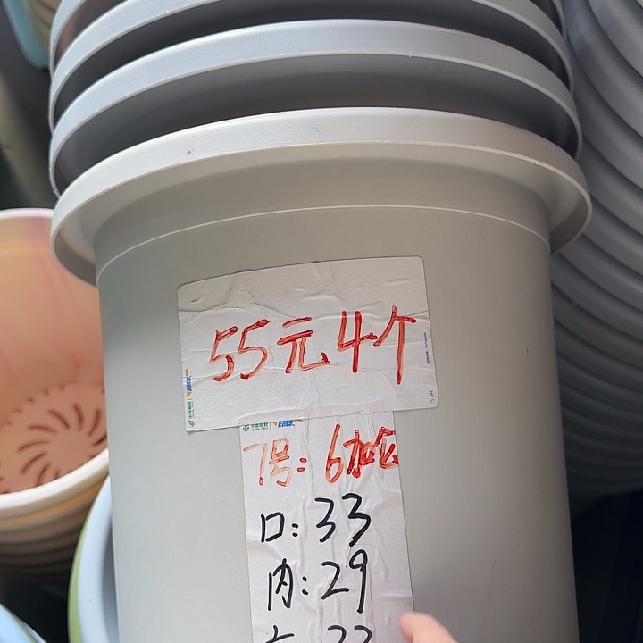 四季7号新灰白无托6个特价