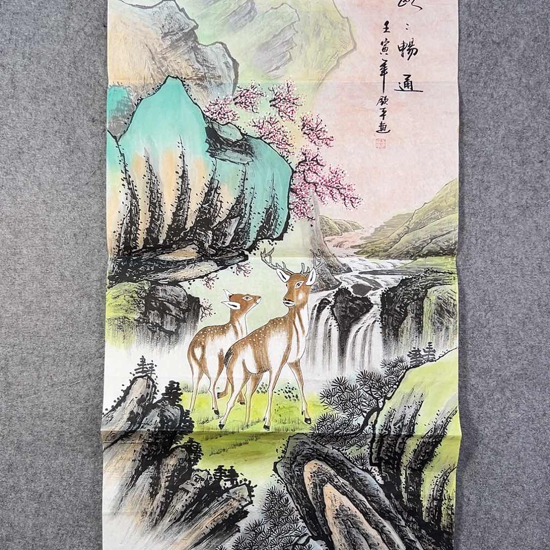 国画904 牡丹花等经济植物资源和
