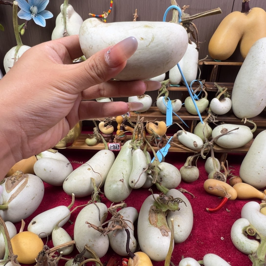 P***L懂了吧你懂了吗我的宝你是最好最棒最好最优秀