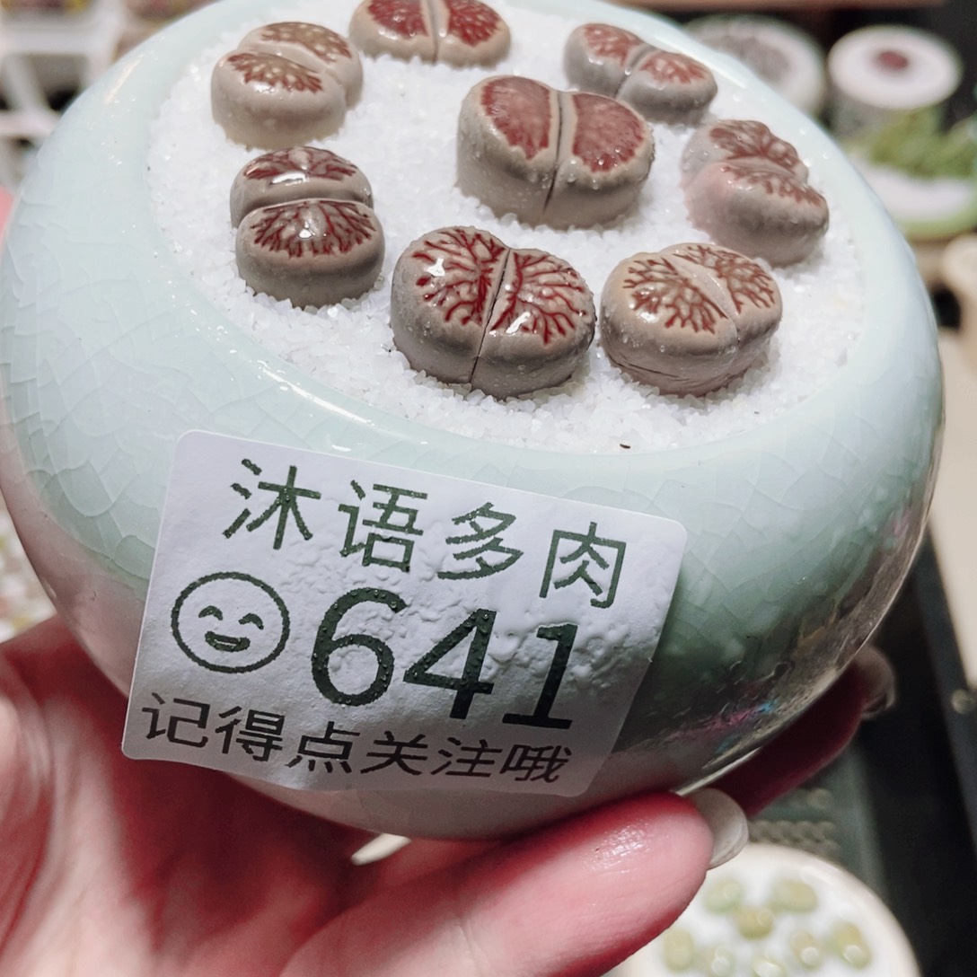 一物一拍 所见即所得 641