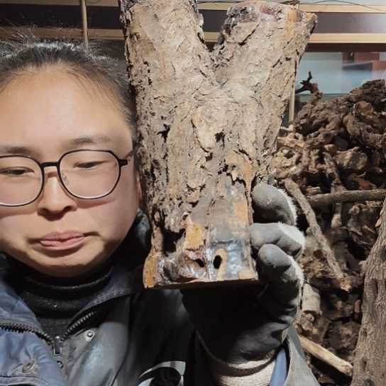 香榧木@****@火琉璃的毛看看摆件