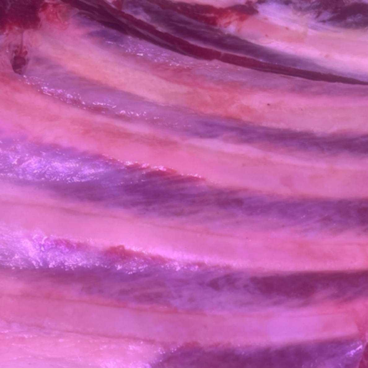 原切牛排内蒙骨草原带骨牛排5斤鲜冻