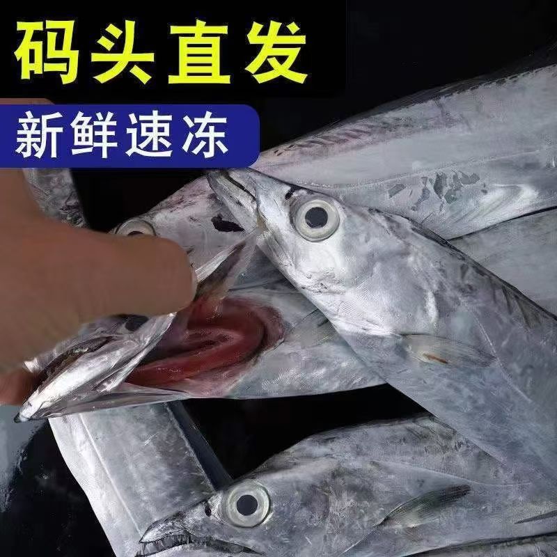 大号精品钓带 带鱼新鲜速冻3条 无冰衣整条  顺丰包邮