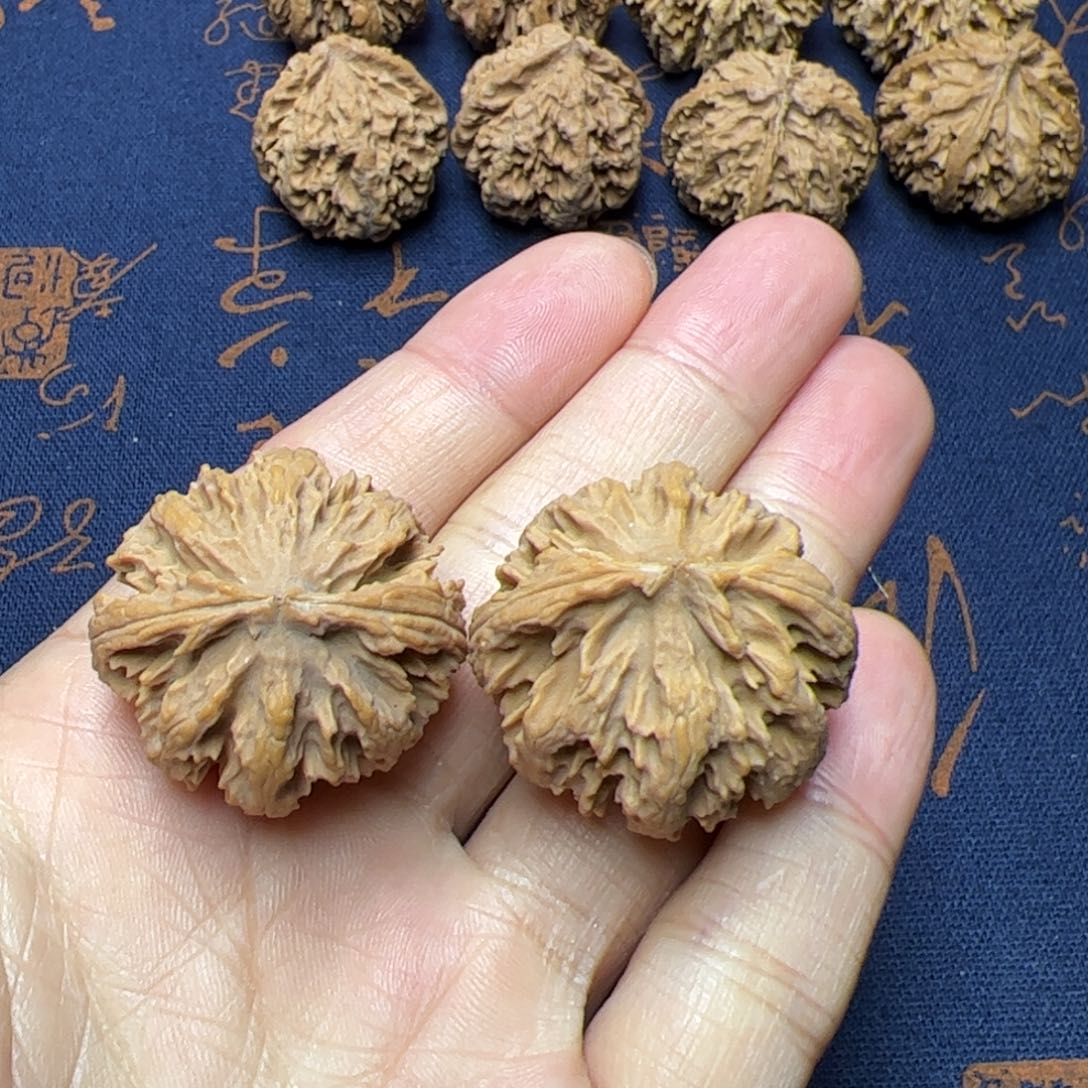 文玩核桃把件秦岭野生植物核桃