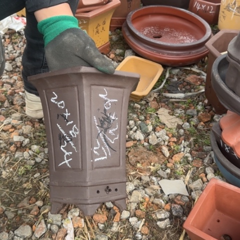 红陶紫砂花盆盆景盆栽