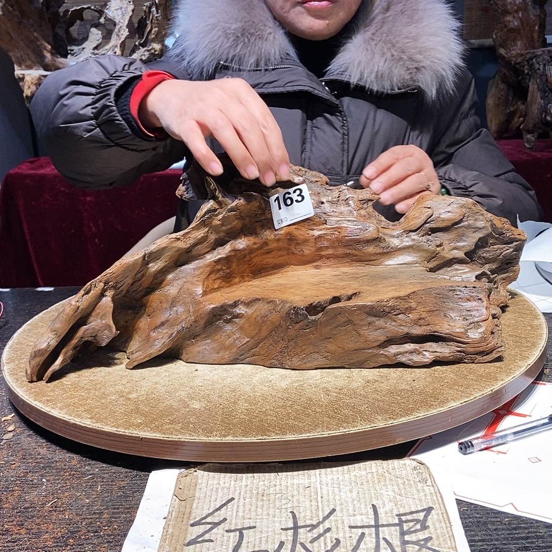 南***心163。株木随行根艺