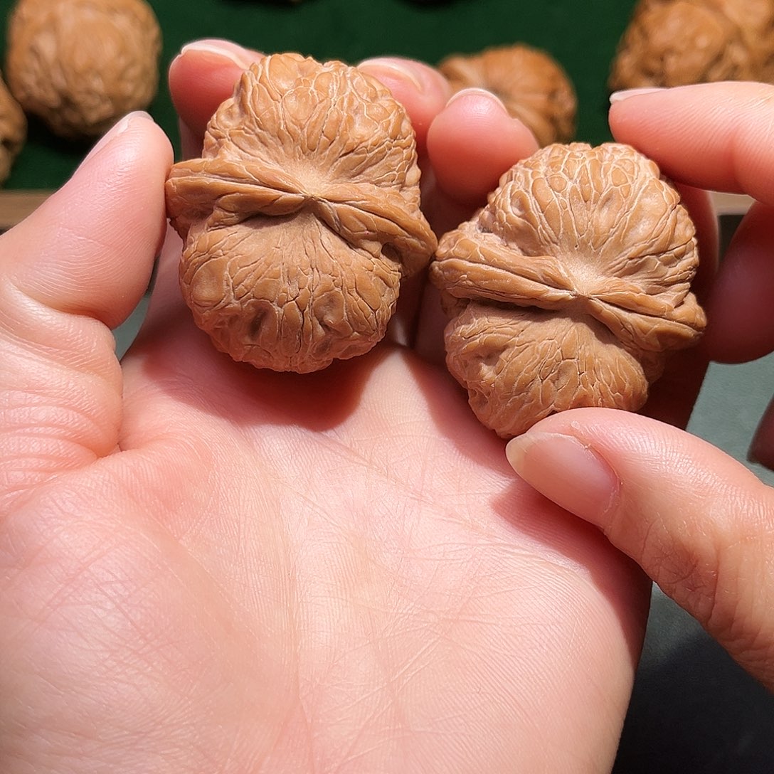 核桃涞水山地果元宝全品42