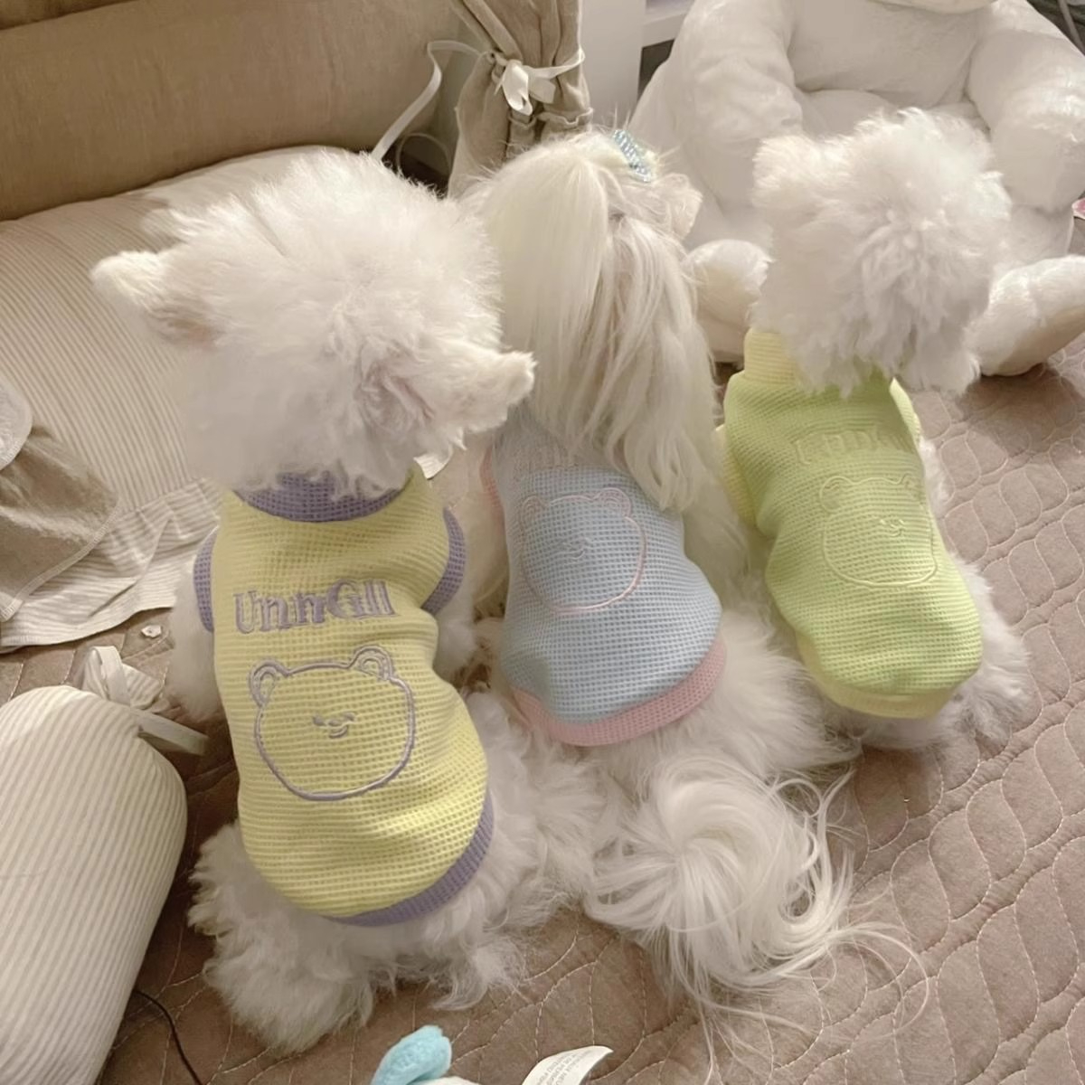 宠物猫咪狗狗衣服秋冬衣新款保暖小型犬猫咪背心防掉毛打底衫
