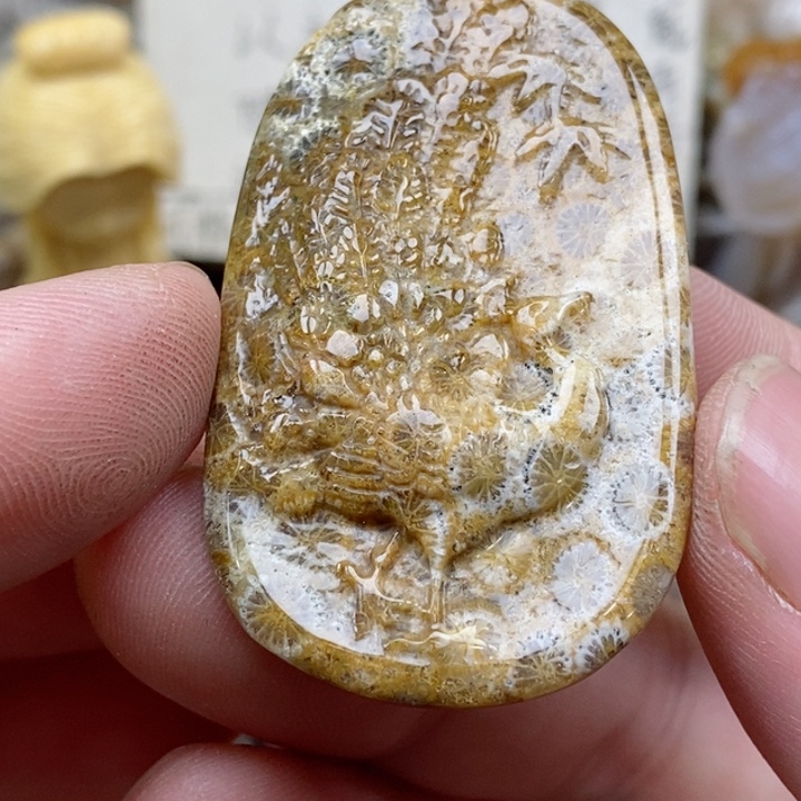 颈饰未镶嵌硅化珊瑚（珊瑚玉）有瑕 小